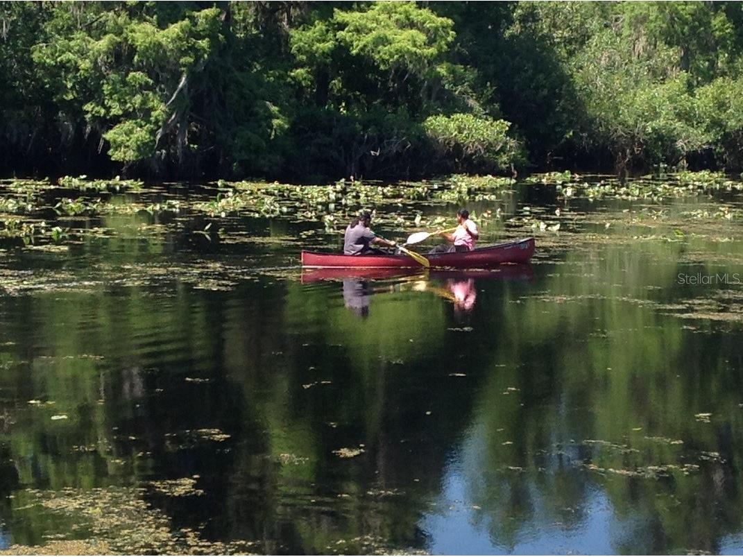 13304 Sanctuary Cove Drive #303 Temple Terrace FL 33637 TB8487541 image60