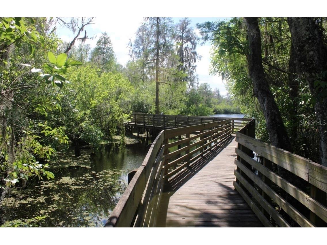 13304 Sanctuary Cove Drive #303 Temple Terrace FL 33637 TB8487541 image61