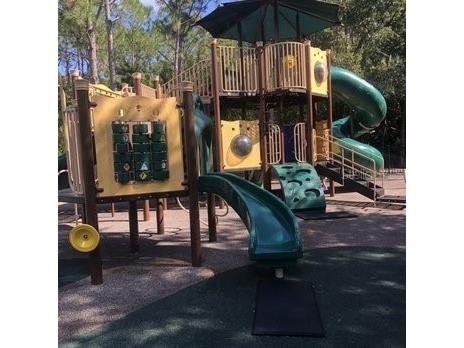 13304 Sanctuary Cove Drive #303 Temple Terrace FL 33637 TB8487541 image62