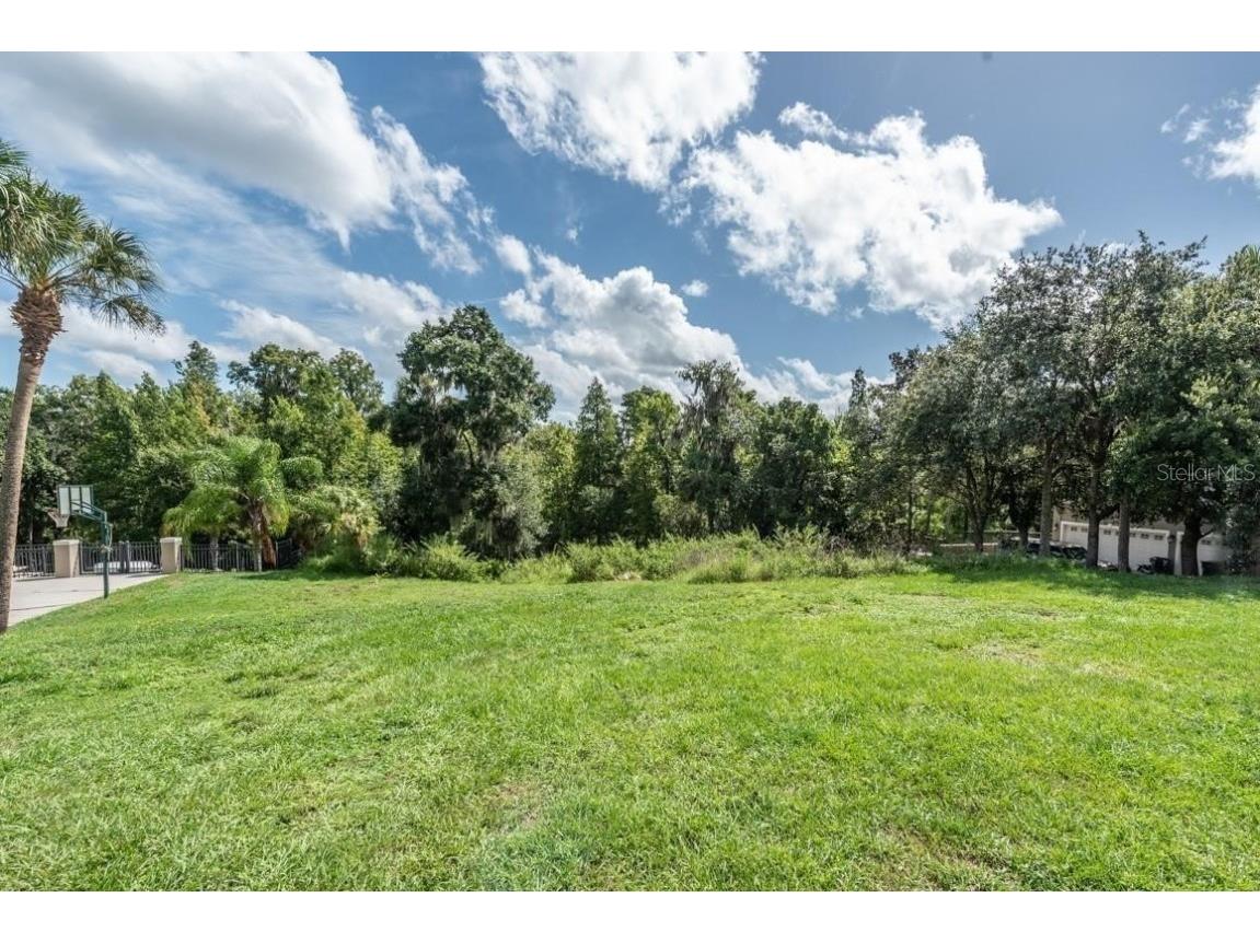 13304 Waterford Run Drive Riverview FL 33569 - ALAFIA RIVER U8190332 image1