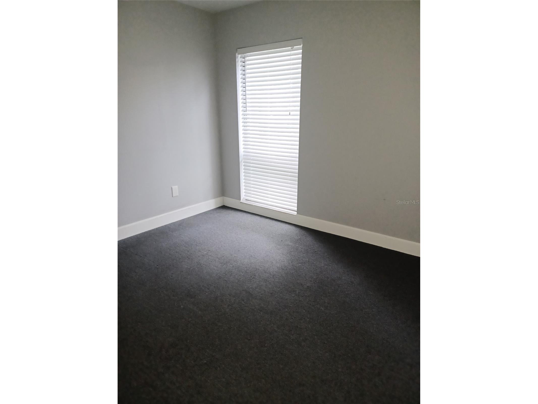 13304 Winding Oak Court #FRONT Tampa FL 33612 TB8525895 image10