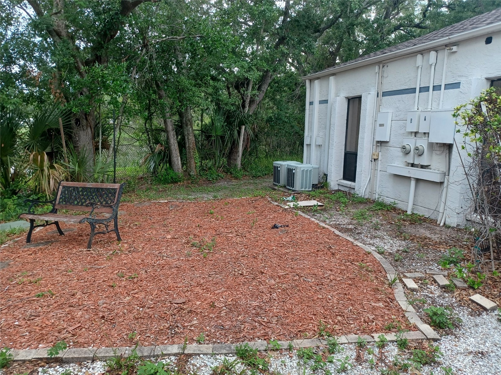 13304 Winding Oak Court #FRONT Tampa FL 33612 TB8525895 image2