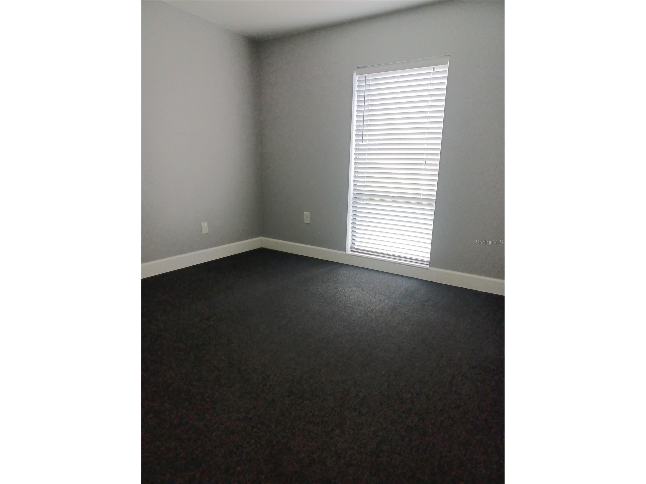 13304 Winding Oak Court #FRONT Tampa FL 33612 TB8525895 image6