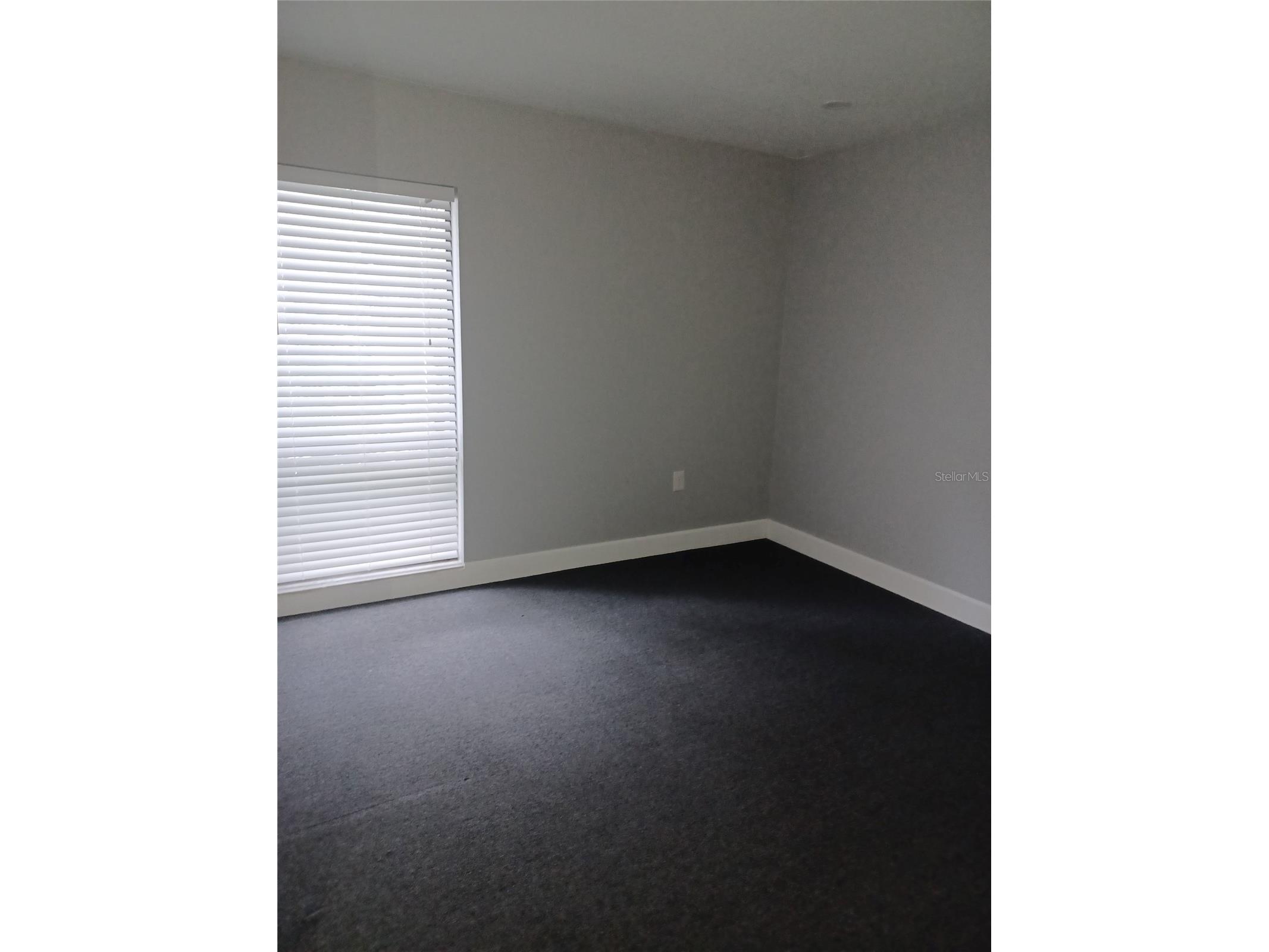 13304 Winding Oak Court #FRONT Tampa FL 33612 TB8525895 image9