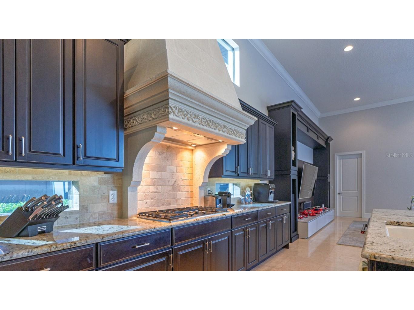 13305 Bellaria Circle Windermere FL 34786 O6286539 image40