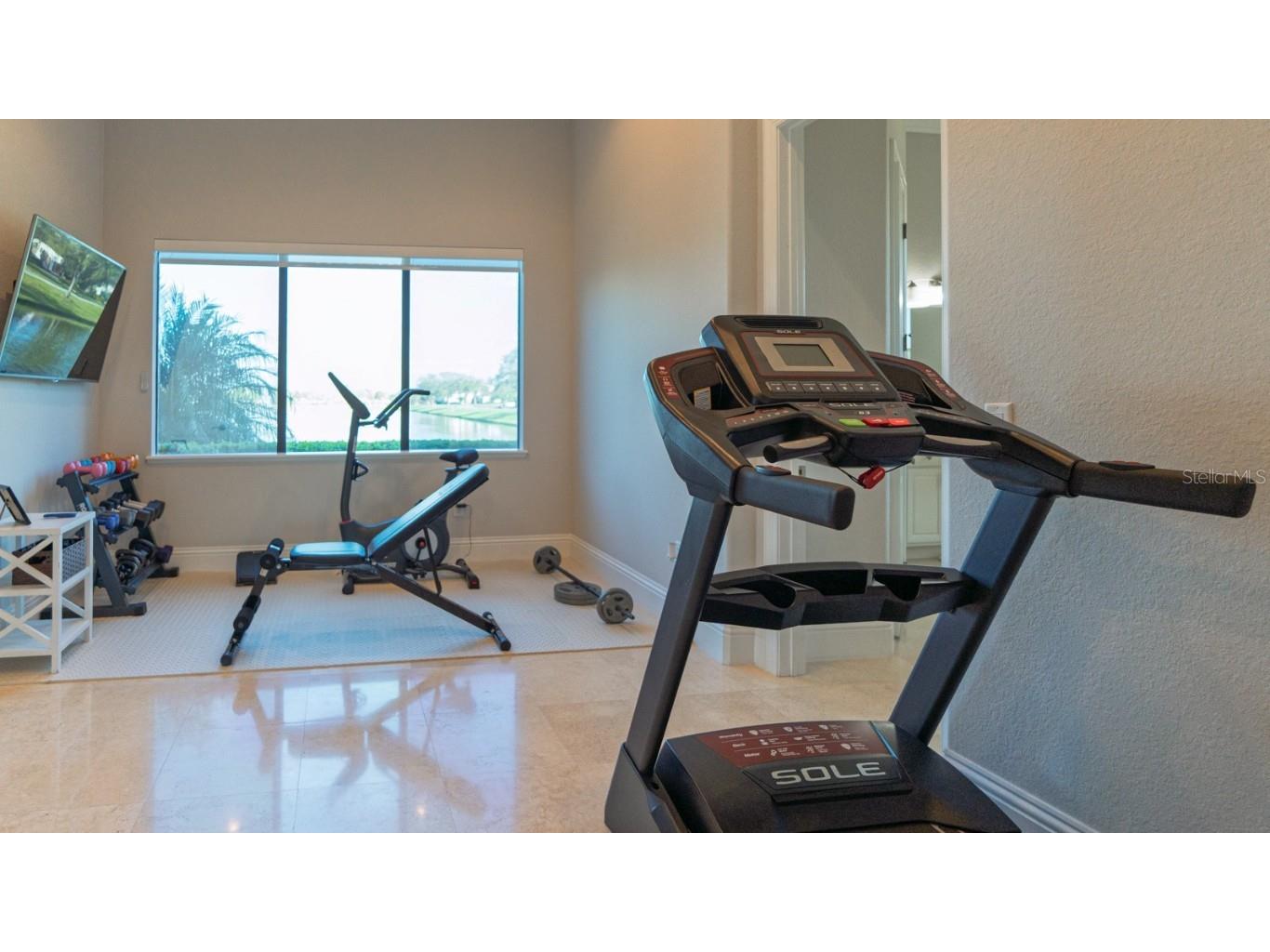 13305 Bellaria Circle Windermere FL 34786 O6286539 image48