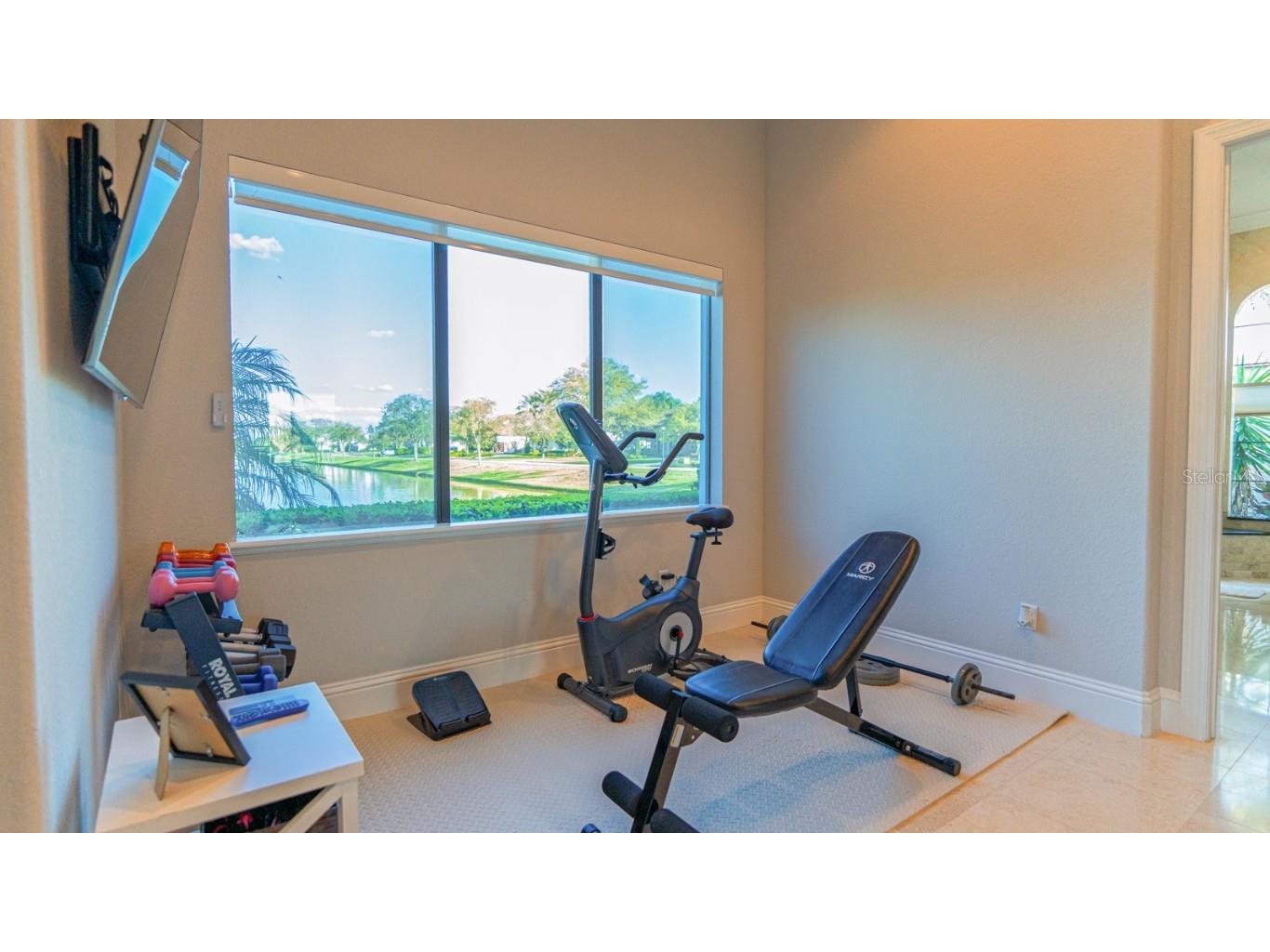 13305 Bellaria Circle Windermere FL 34786 O6286539 image49