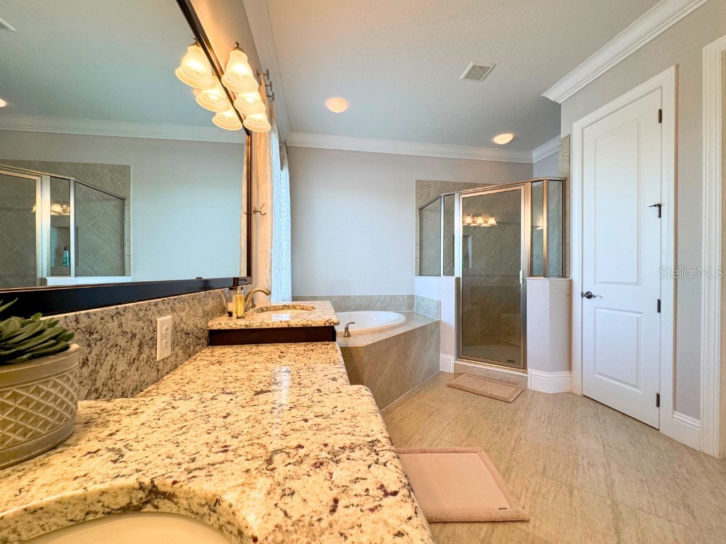 13305 Bellaria Circle Windermere FL 34786 O6286539 image62