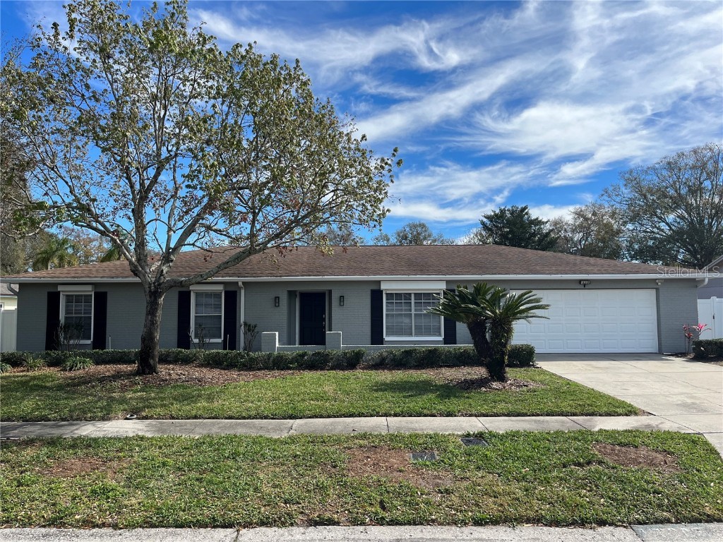 13305 Moran Drive Tampa FL 33618 T3504665 image1