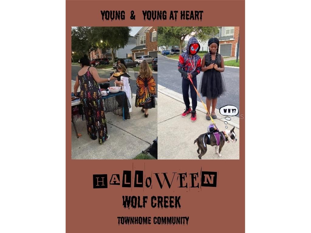 13305 Stone Pond Drive Jacksonville FL 32224 O6354537 image30