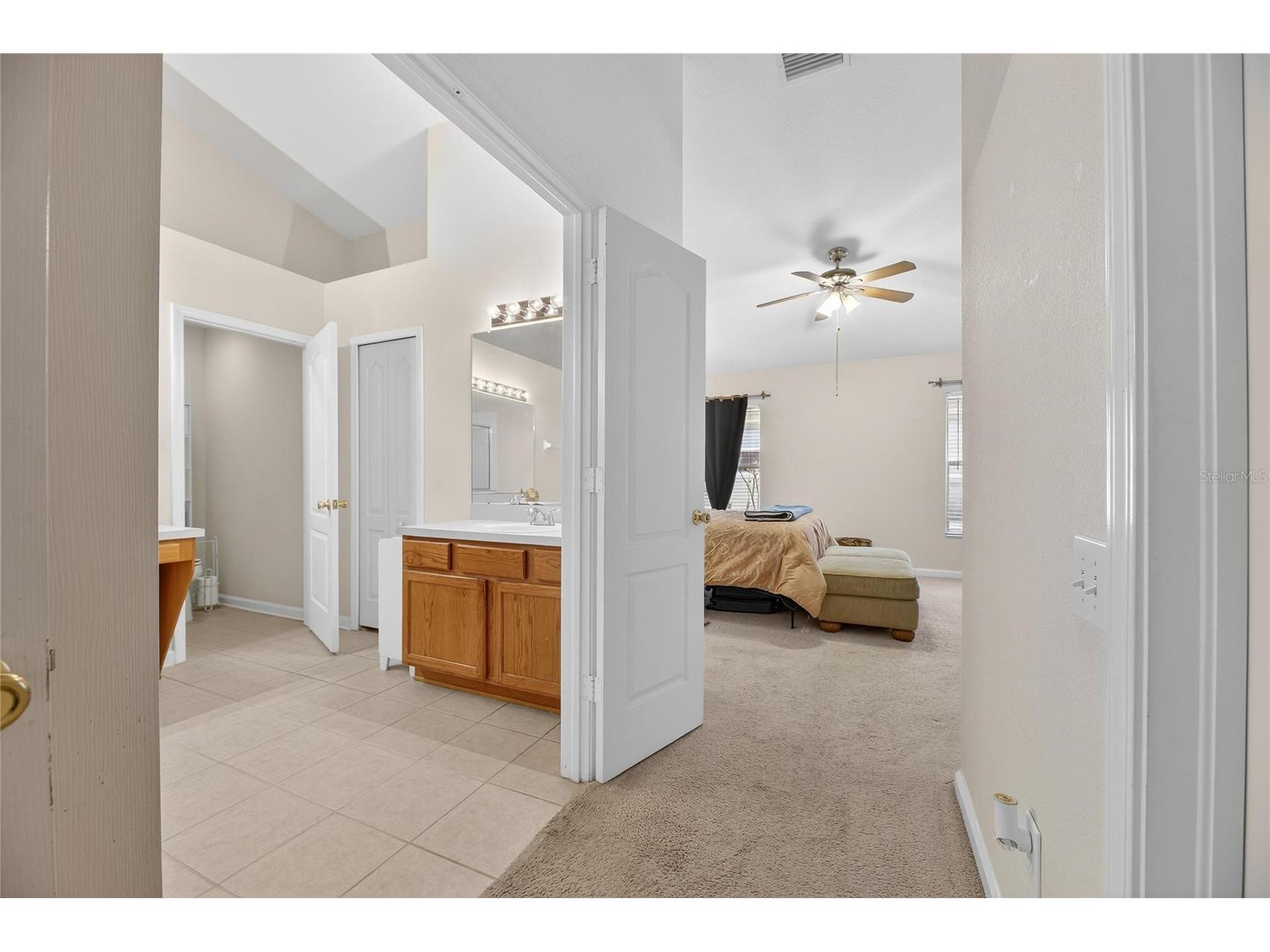 13307 Amber Sky Place Riverview FL 33579 TB8469558 image30