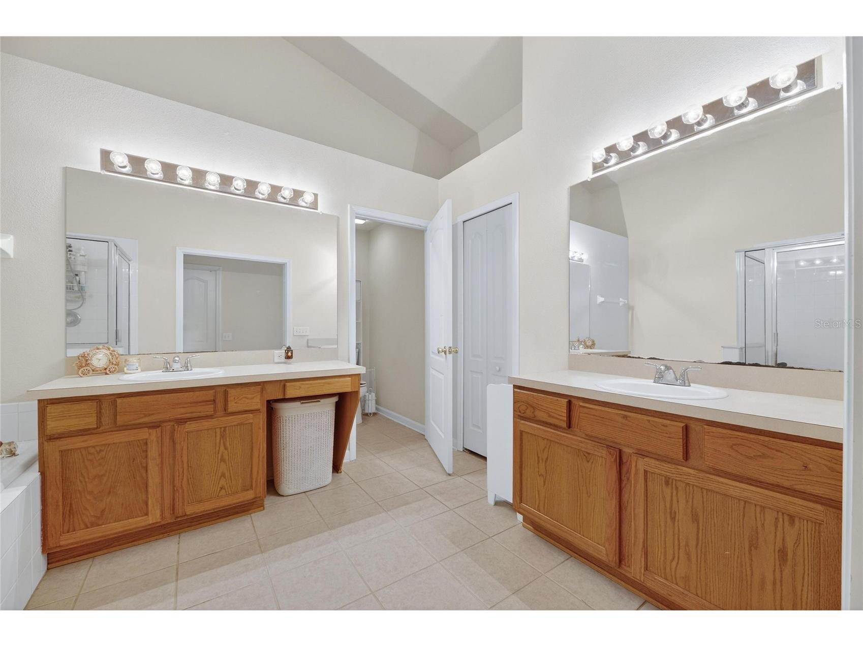 13307 Amber Sky Place Riverview FL 33579 TB8469558 image31