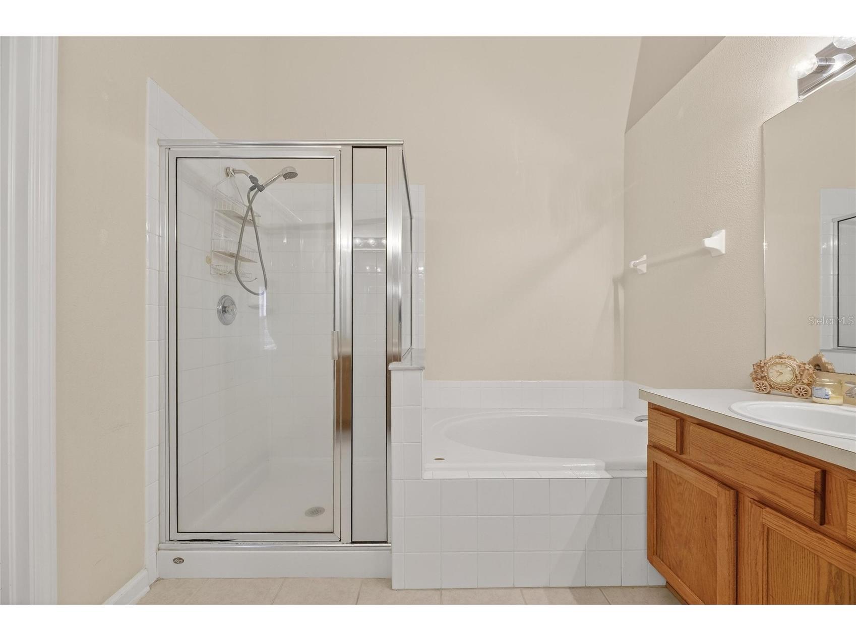 13307 Amber Sky Place Riverview FL 33579 TB8469558 image32