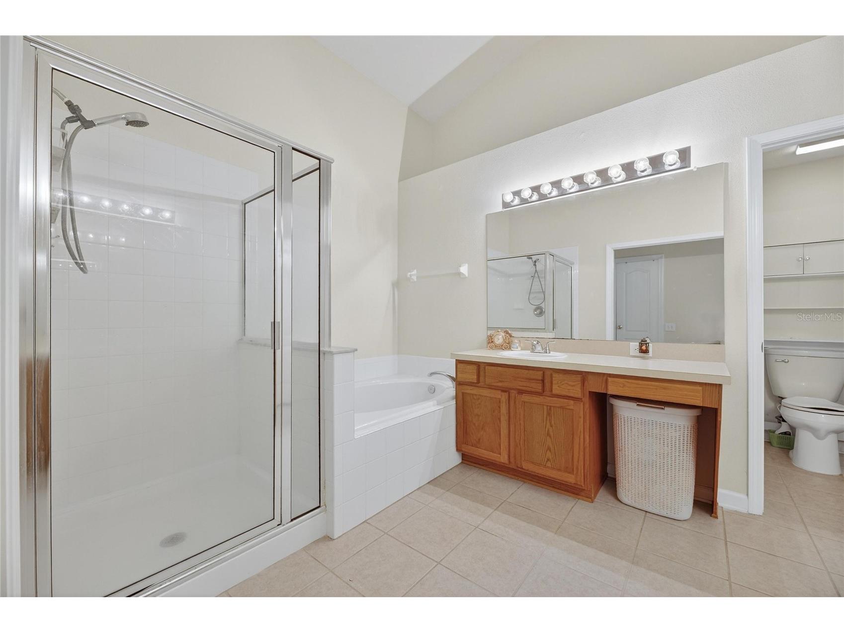 13307 Amber Sky Place Riverview FL 33579 TB8469558 image33