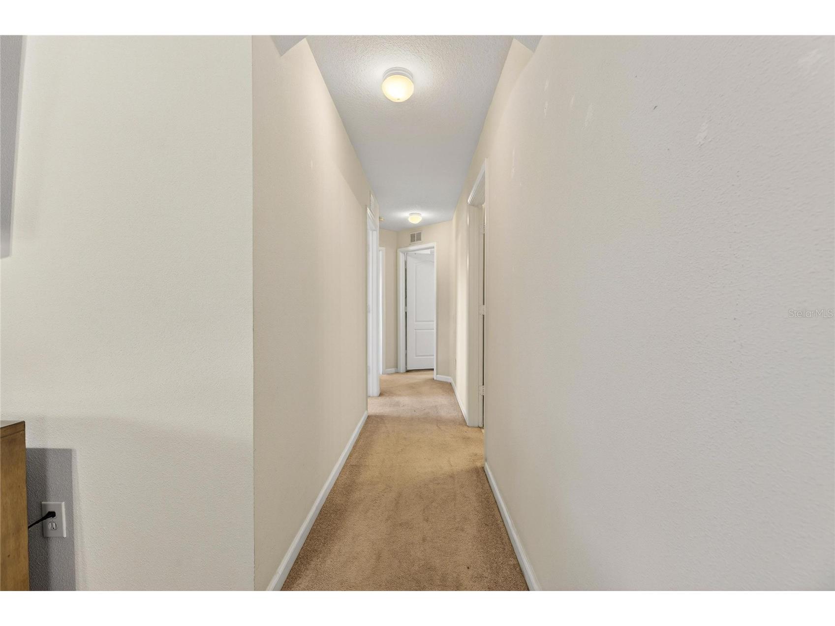 13307 Amber Sky Place Riverview FL 33579 TB8469558 image40