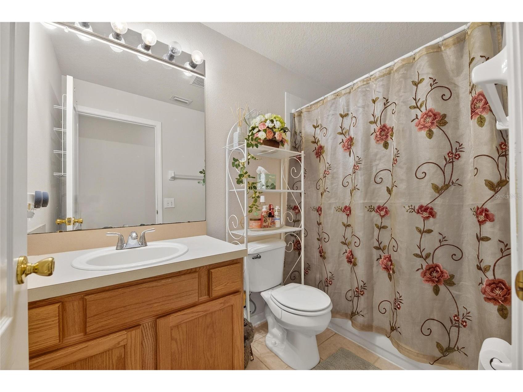 13307 Amber Sky Place Riverview FL 33579 TB8469558 image41