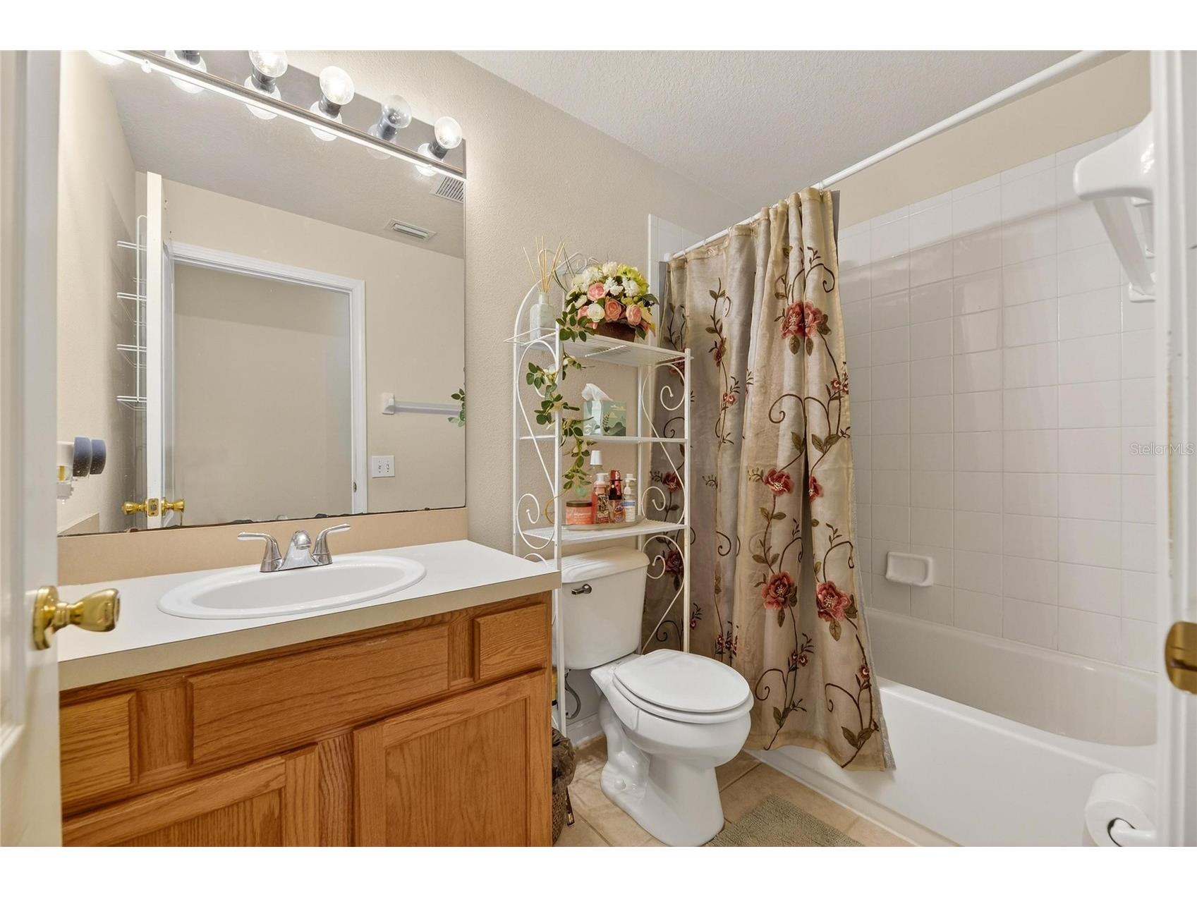 13307 Amber Sky Place Riverview FL 33579 TB8469558 image42