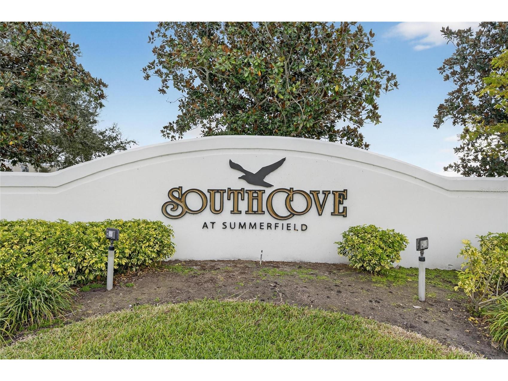 13307 Amber Sky Place Riverview FL 33579 TB8469558 image52
