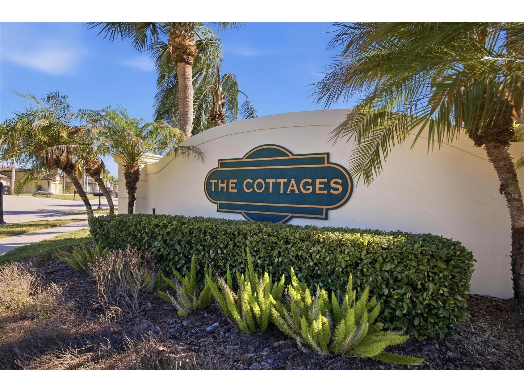 13307 Ashbark Court Riverview FL 33579 TB8513991 image31