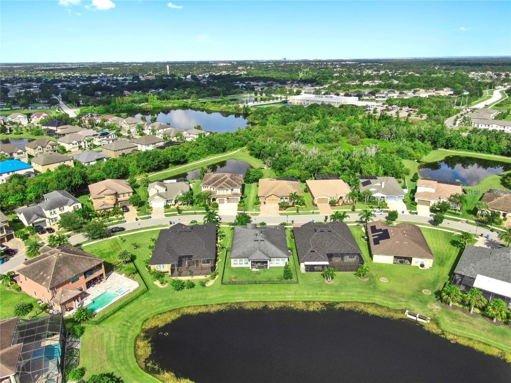 13307 Fawn Lily Drive Riverview FL 33579 TB8461531 image2