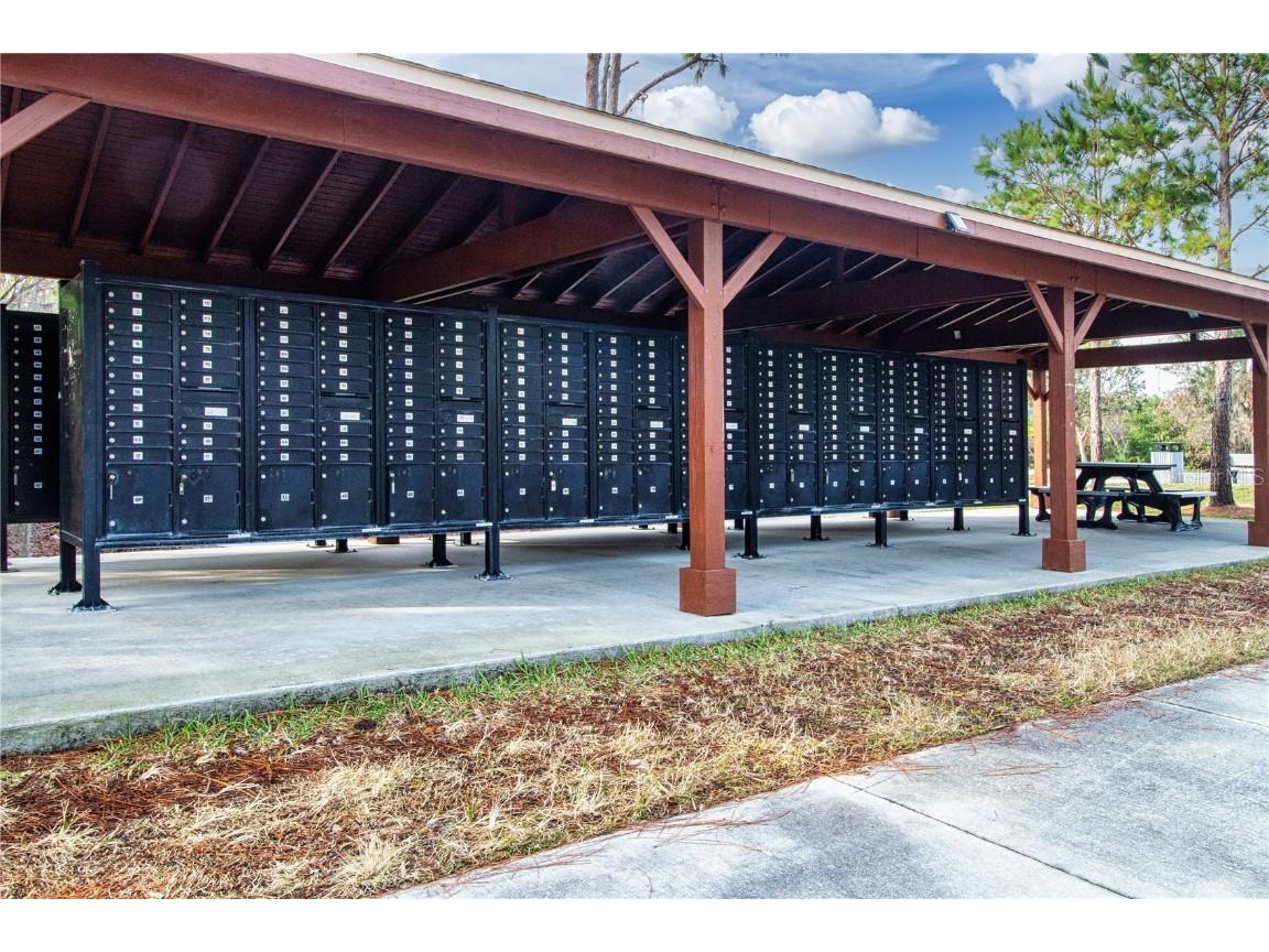 13307 Fawn Lily Drive Riverview FL 33579 TB8461531 image59