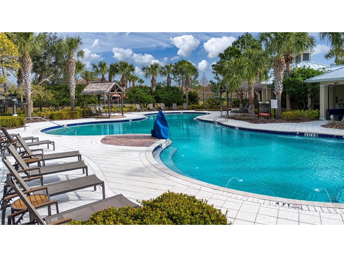 13307 Fawn Lily Drive Riverview FL 33579 TB8461531 image64