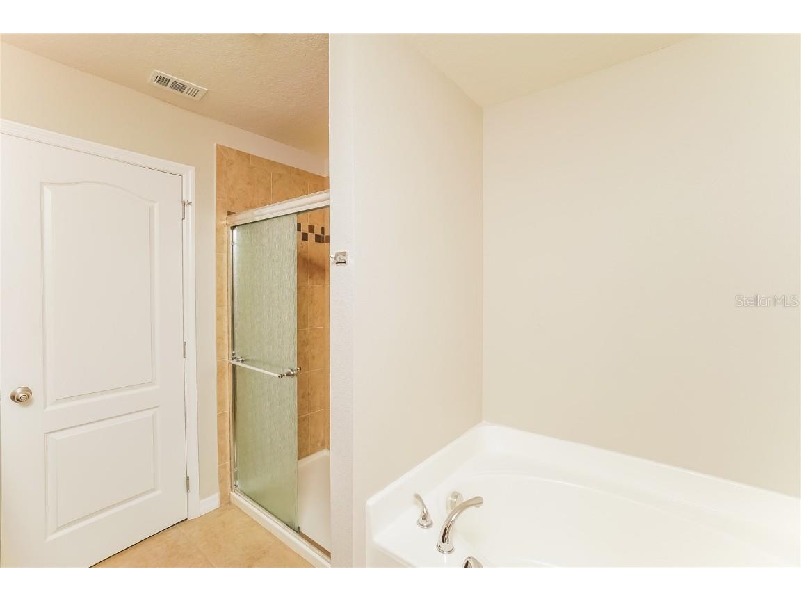 13307 Waterford Castle Drive Dade City FL 33525 C7518621 image15