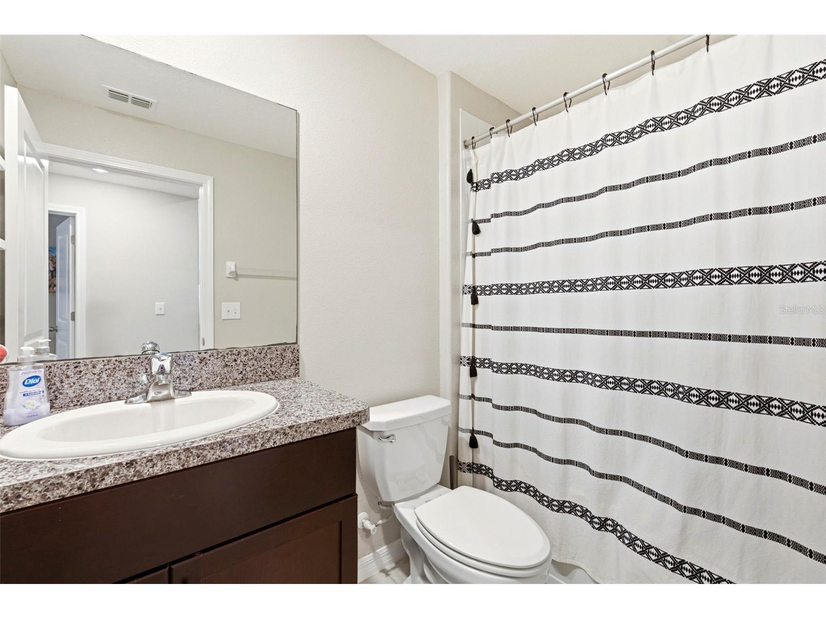 13307 Willow Bluestar Loop Riverview FL 33579 TB8495331 image22
