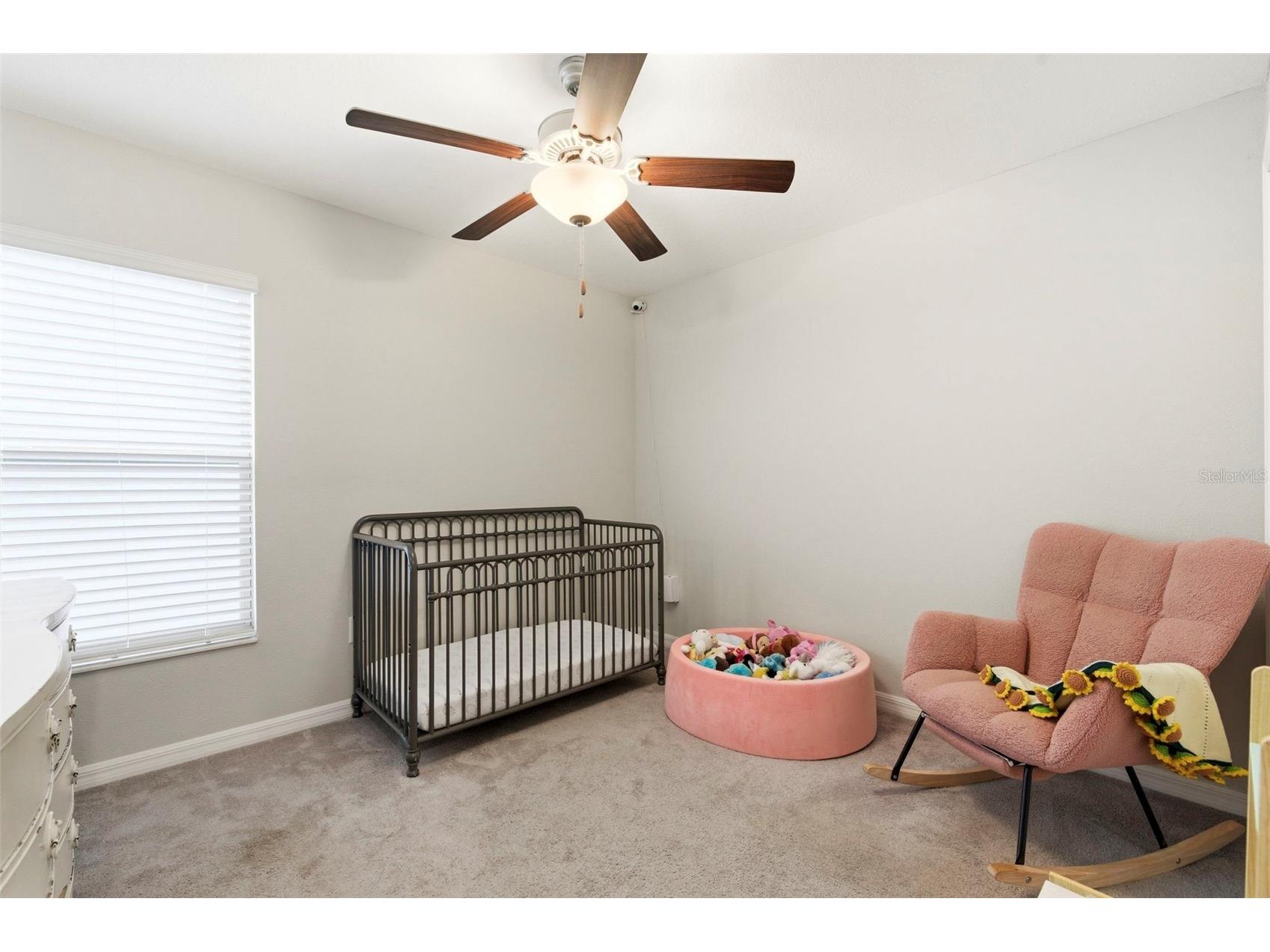 13307 Willow Bluestar Loop Riverview FL 33579 TB8495331 image27