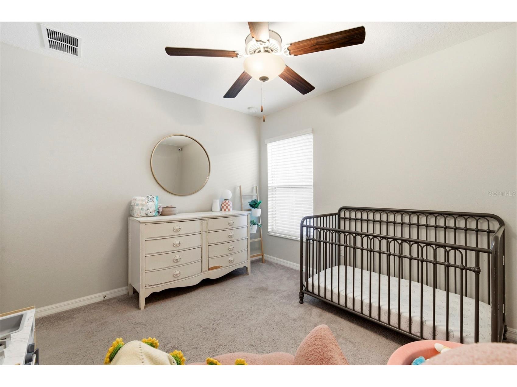 13307 Willow Bluestar Loop Riverview FL 33579 TB8495331 image28