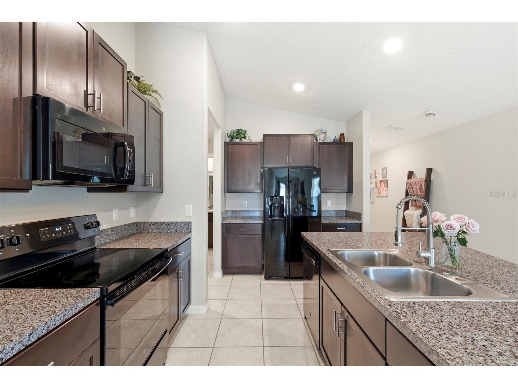 13307 Willow Bluestar Loop Riverview FL 33579 TB8495331 image8