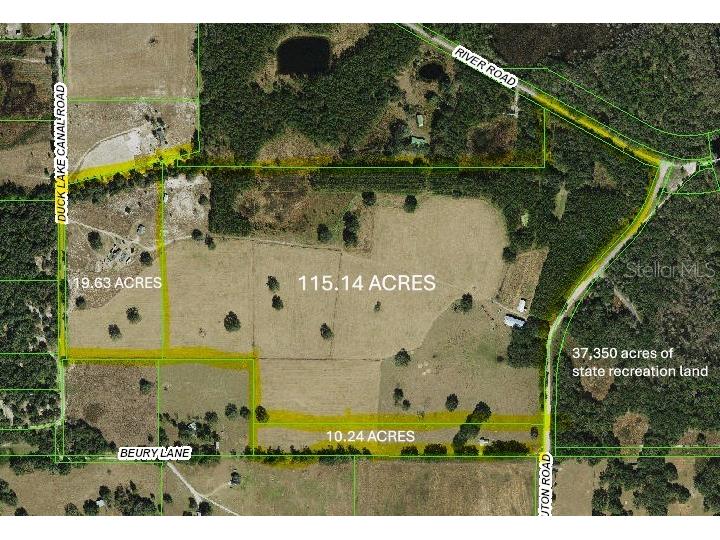 13308 Duck Lake Canal Road Dade City FL 33525 TB8475916 image34