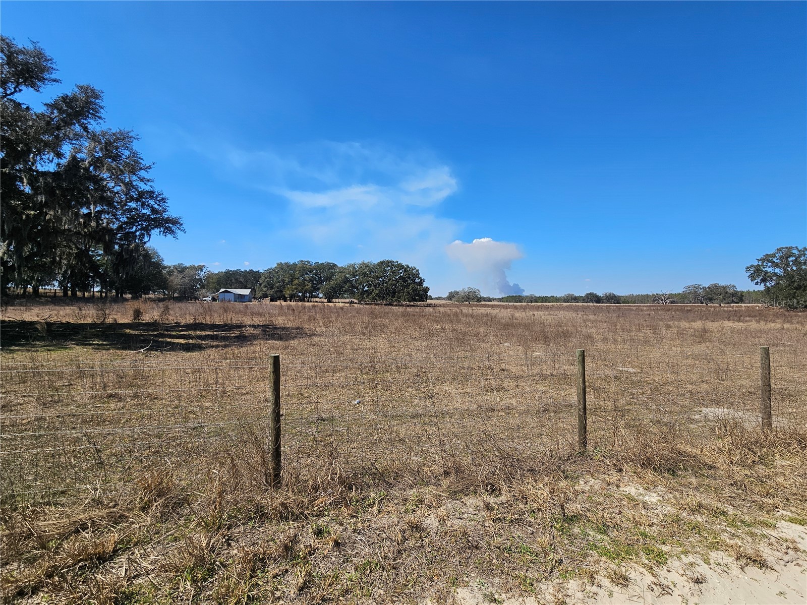 13308 Duck Lake Canal Road Dade City FL 33525 TB8475916 image36