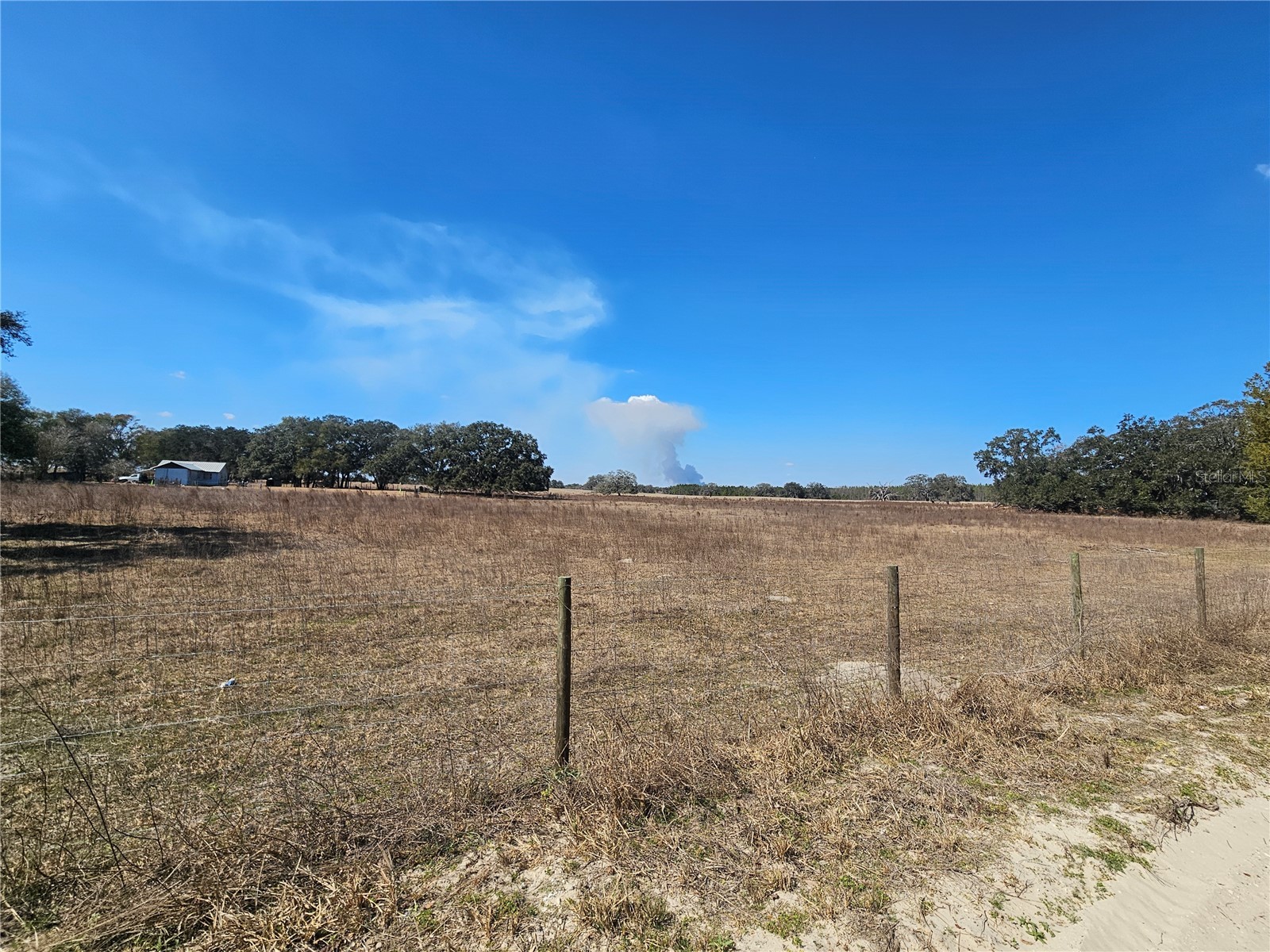 13308 Duck Lake Canal Road Dade City FL 33525 TB8475916 image37
