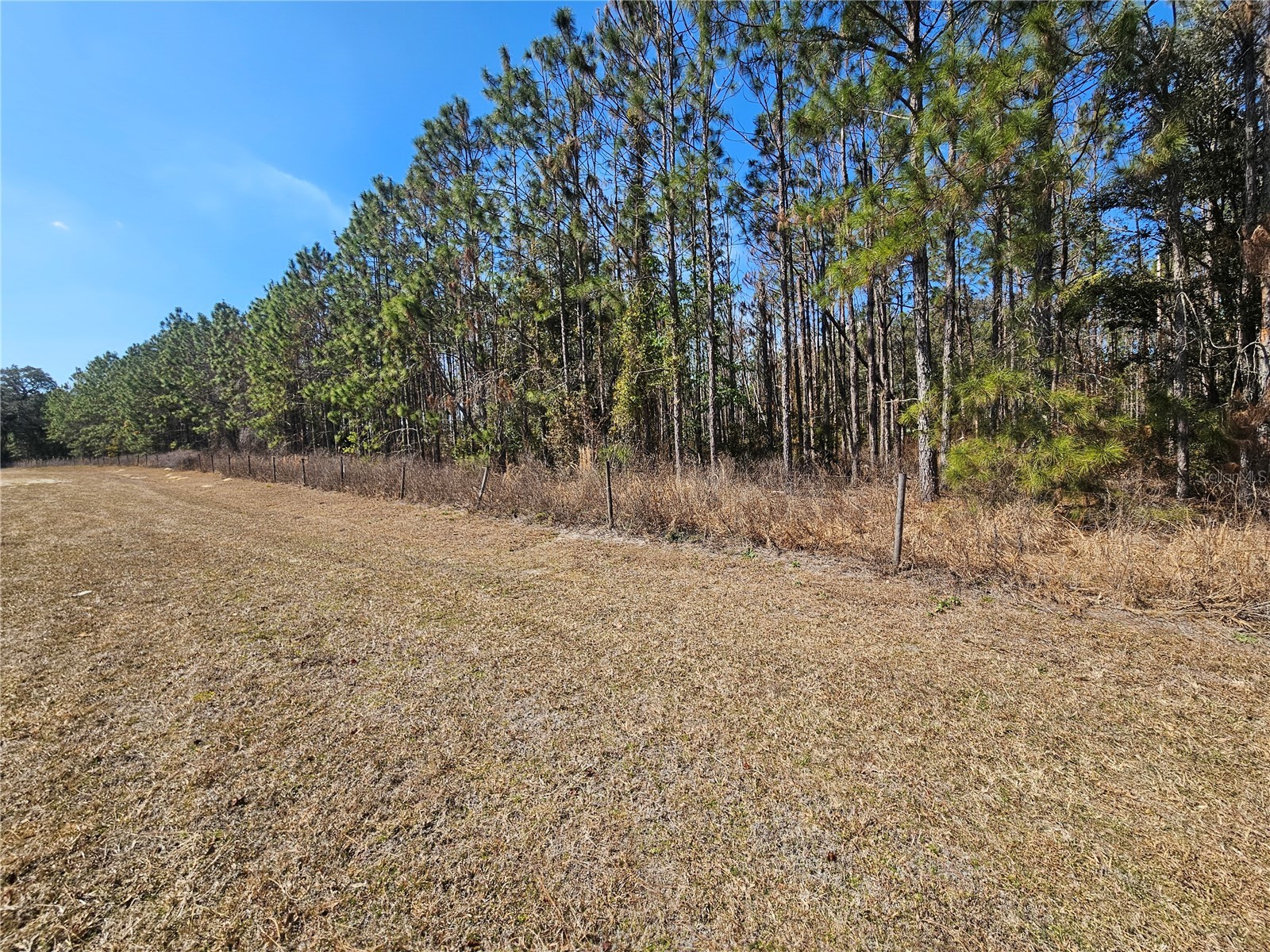 13308 Duck Lake Canal Road Dade City FL 33525 TB8475916 image39