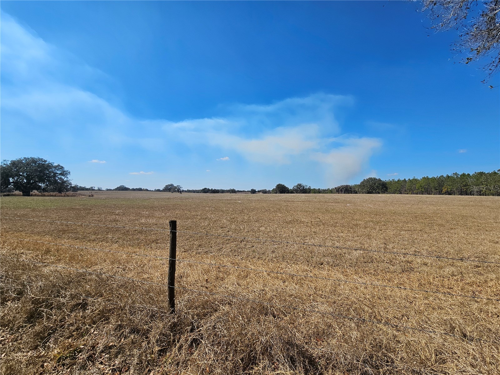 13308 Duck Lake Canal Road Dade City FL 33525 TB8475916 image41