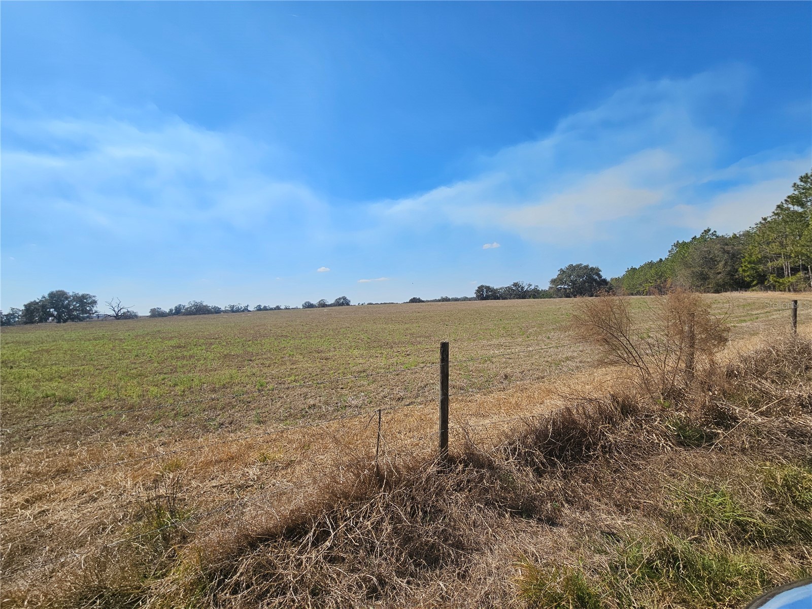 13308 Duck Lake Canal Road Dade City FL 33525 TB8475916 image42