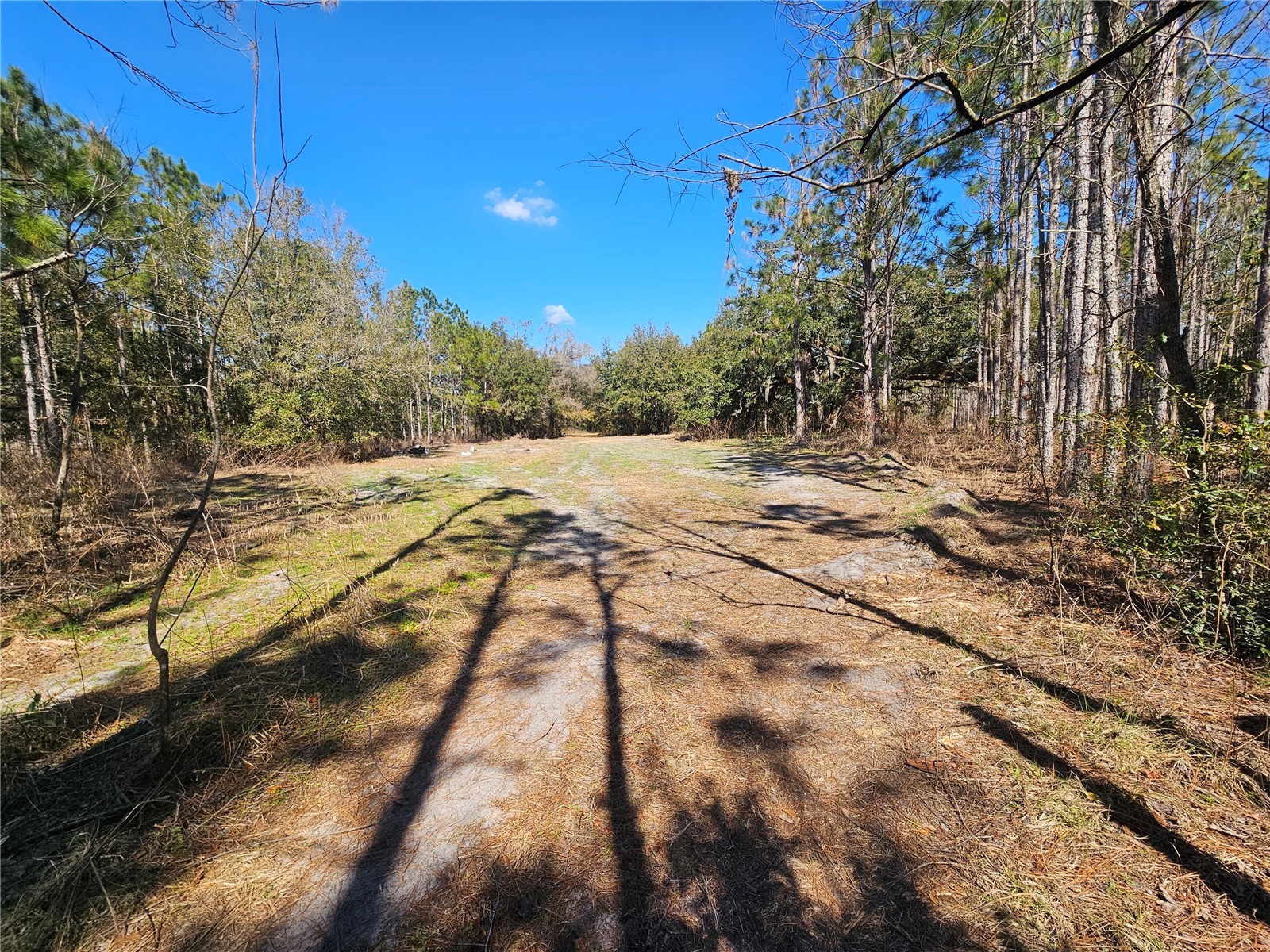 13308 Duck Lake Canal Road Dade City FL 33525 TB8475916 image44