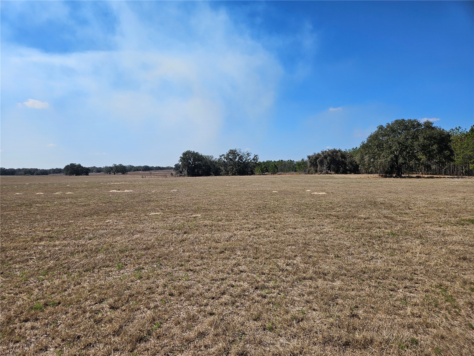 13308 Duck Lake Canal Road Dade City FL 33525 TB8475916 image45