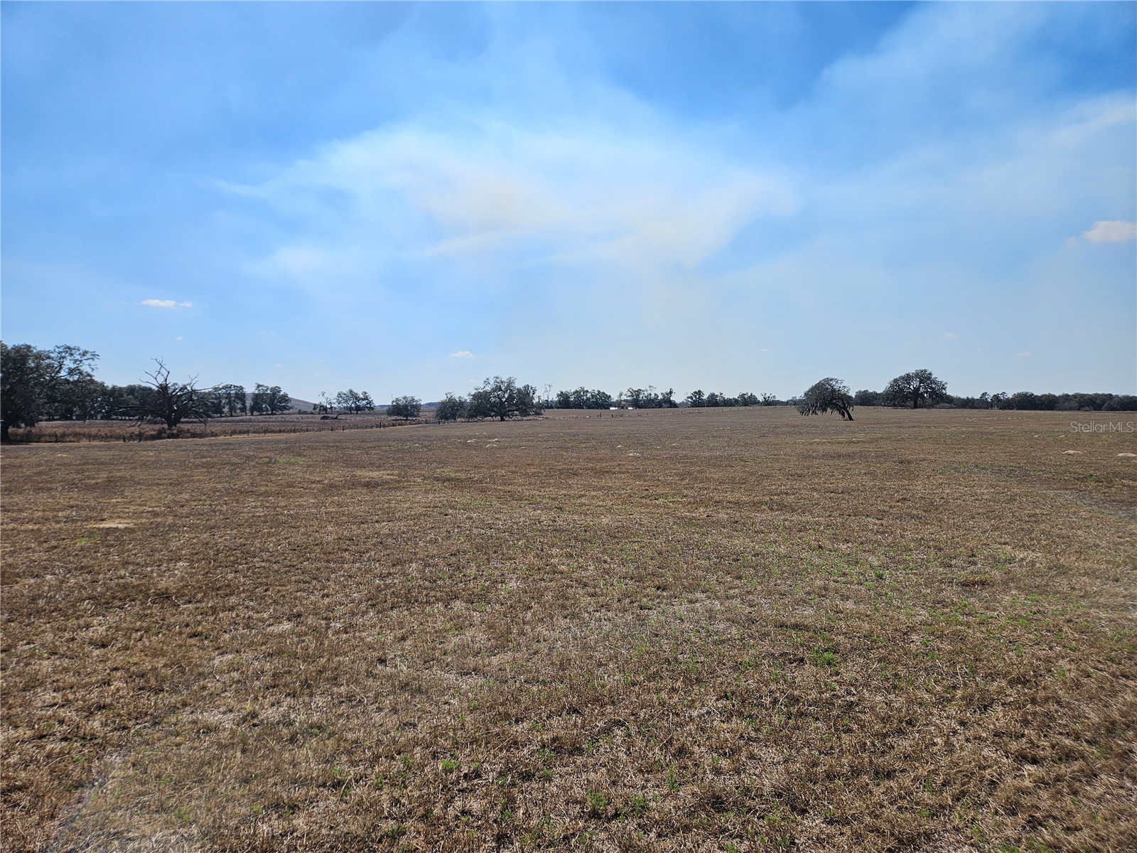 13308 Duck Lake Canal Road Dade City FL 33525 TB8475916 image46