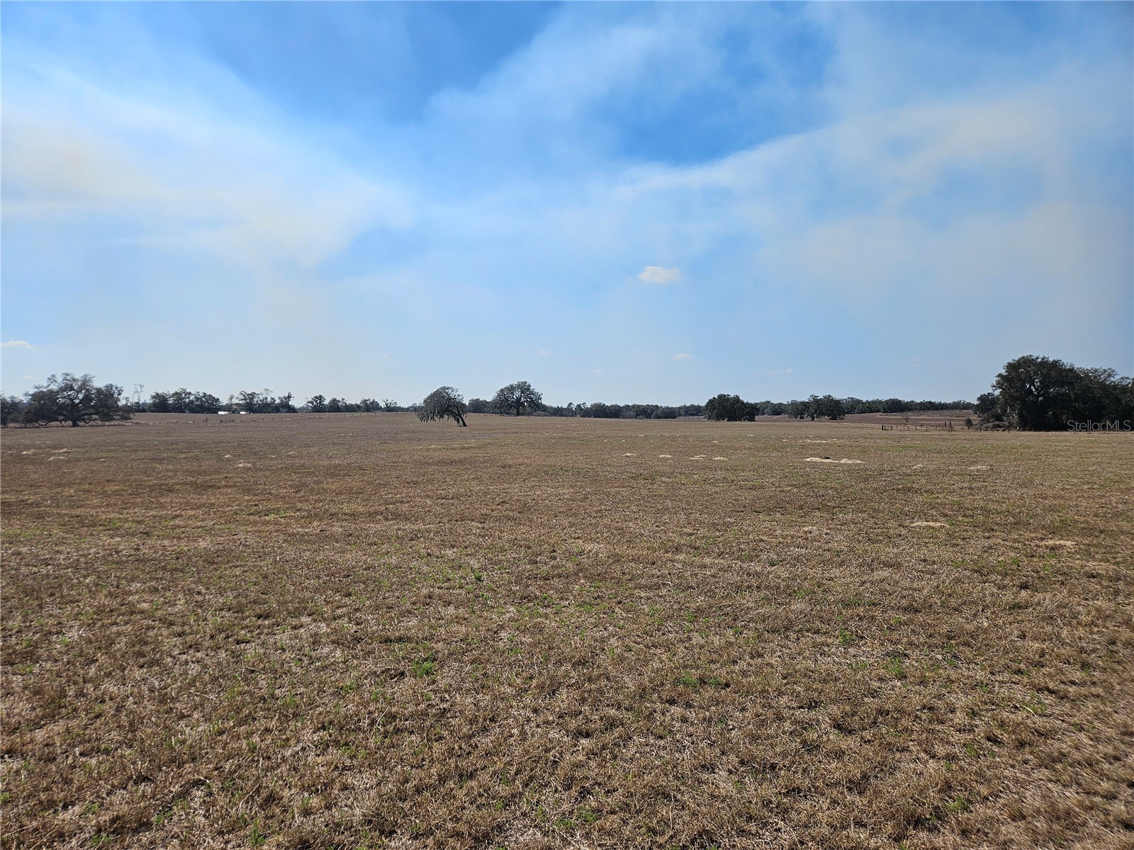 13308 Duck Lake Canal Road Dade City FL 33525 TB8475916 image47