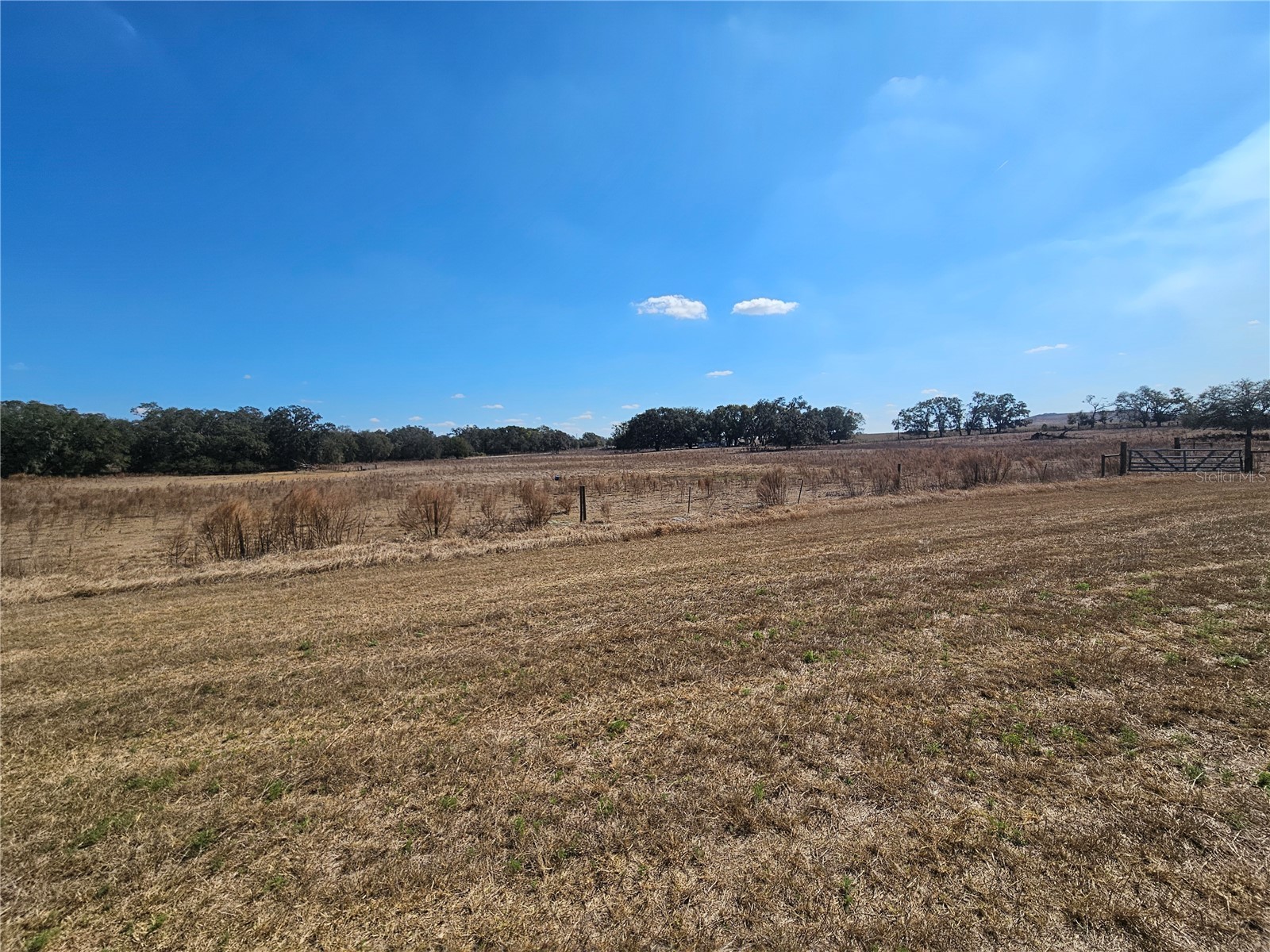 13308 Duck Lake Canal Road Dade City FL 33525 TB8475916 image48