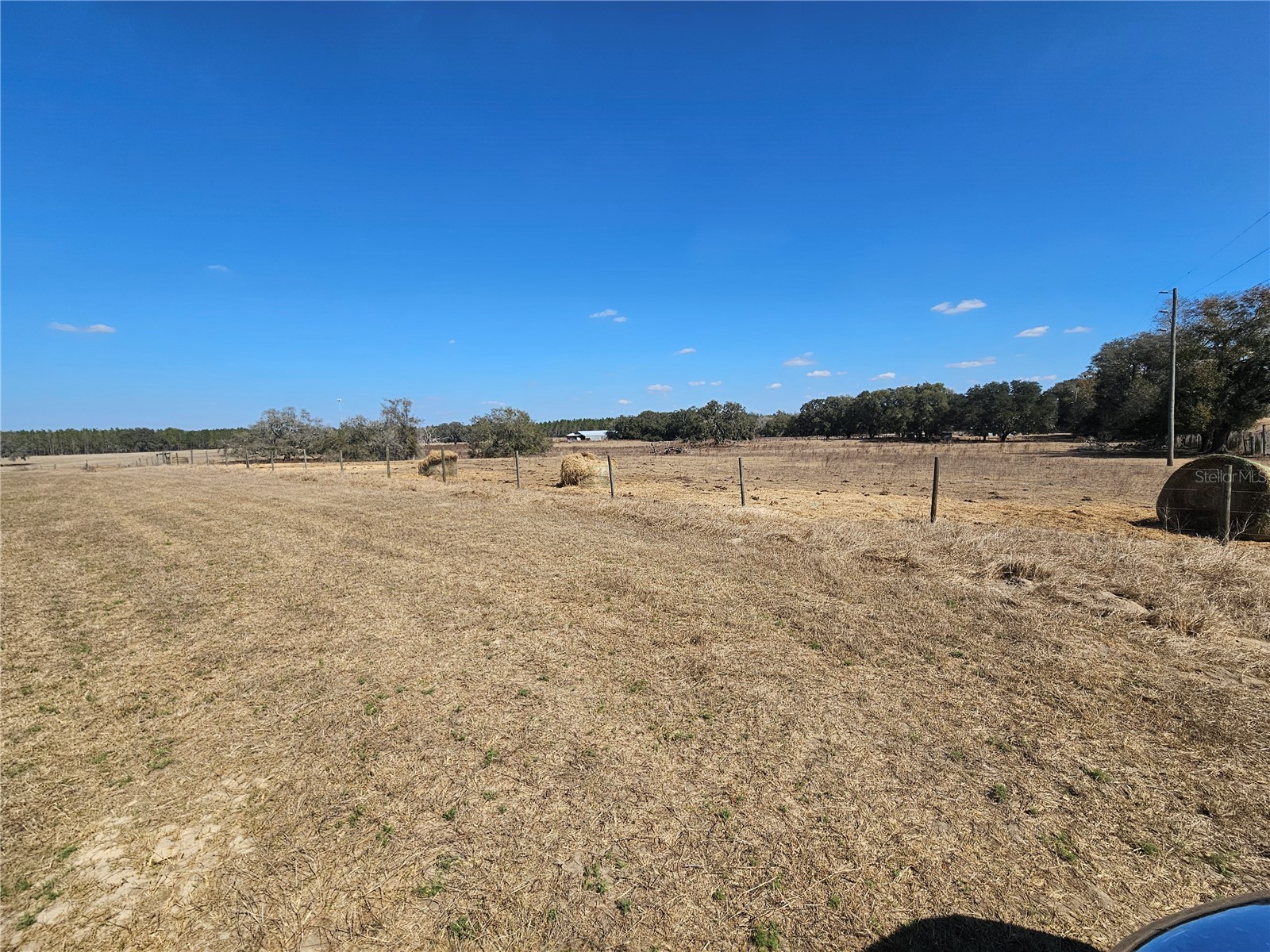 13308 Duck Lake Canal Road Dade City FL 33525 TB8475916 image49