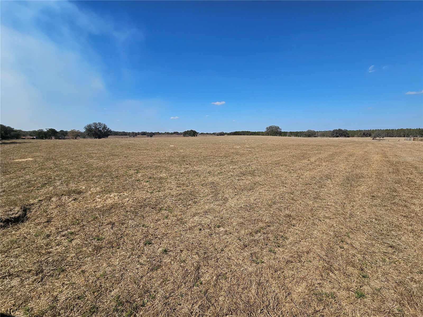 13308 Duck Lake Canal Road Dade City FL 33525 TB8475916 image50