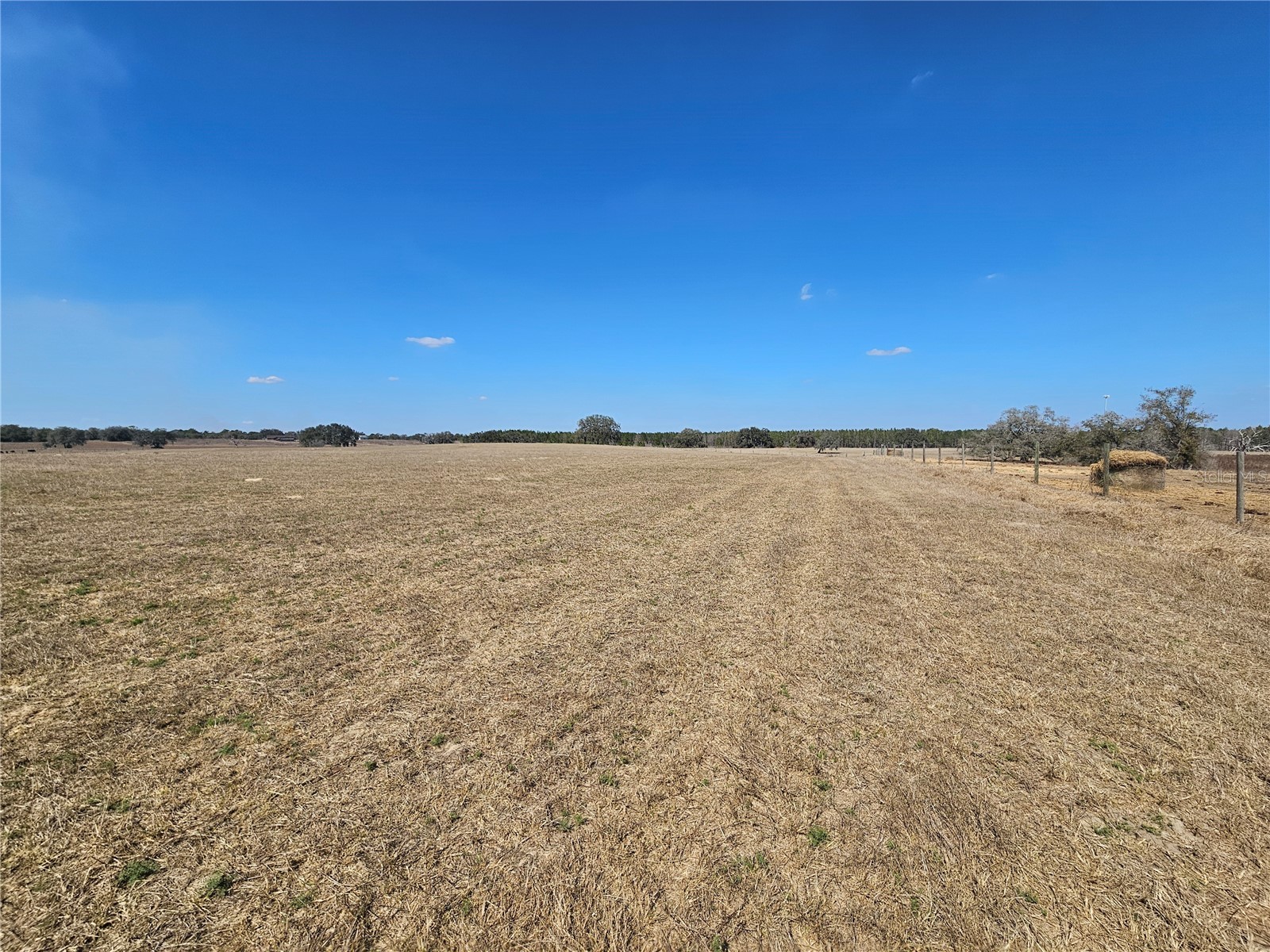 13308 Duck Lake Canal Road Dade City FL 33525 TB8475916 image51