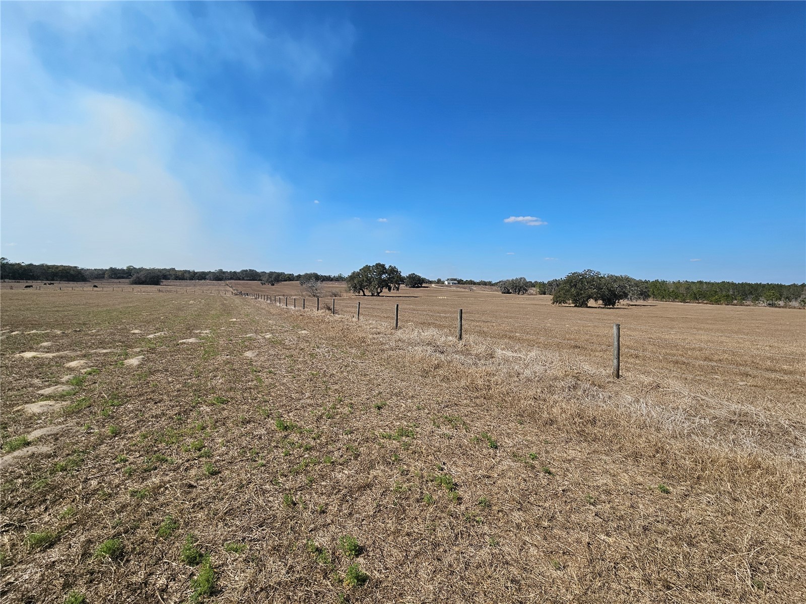 13308 Duck Lake Canal Road Dade City FL 33525 TB8475916 image52