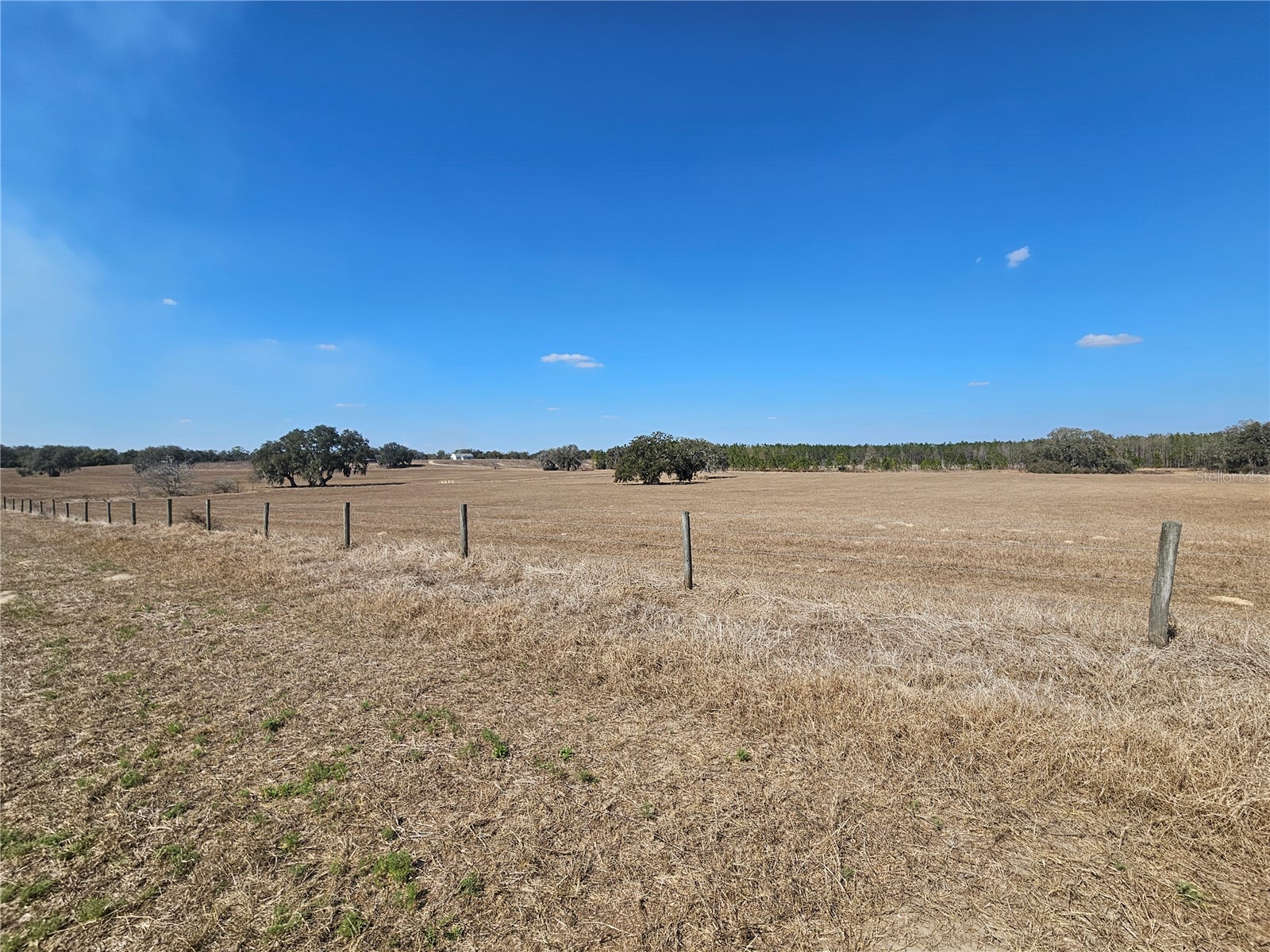 13308 Duck Lake Canal Road Dade City FL 33525 TB8475916 image53