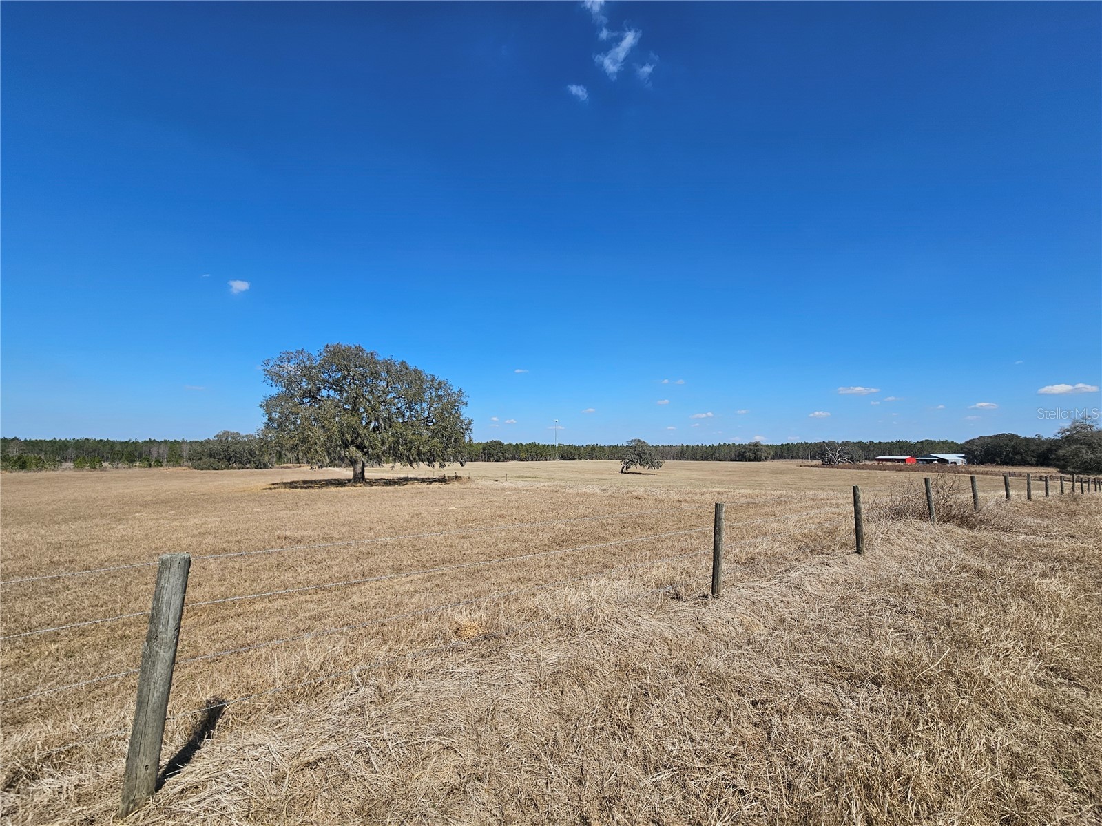 13308 Duck Lake Canal Road Dade City FL 33525 TB8475916 image54