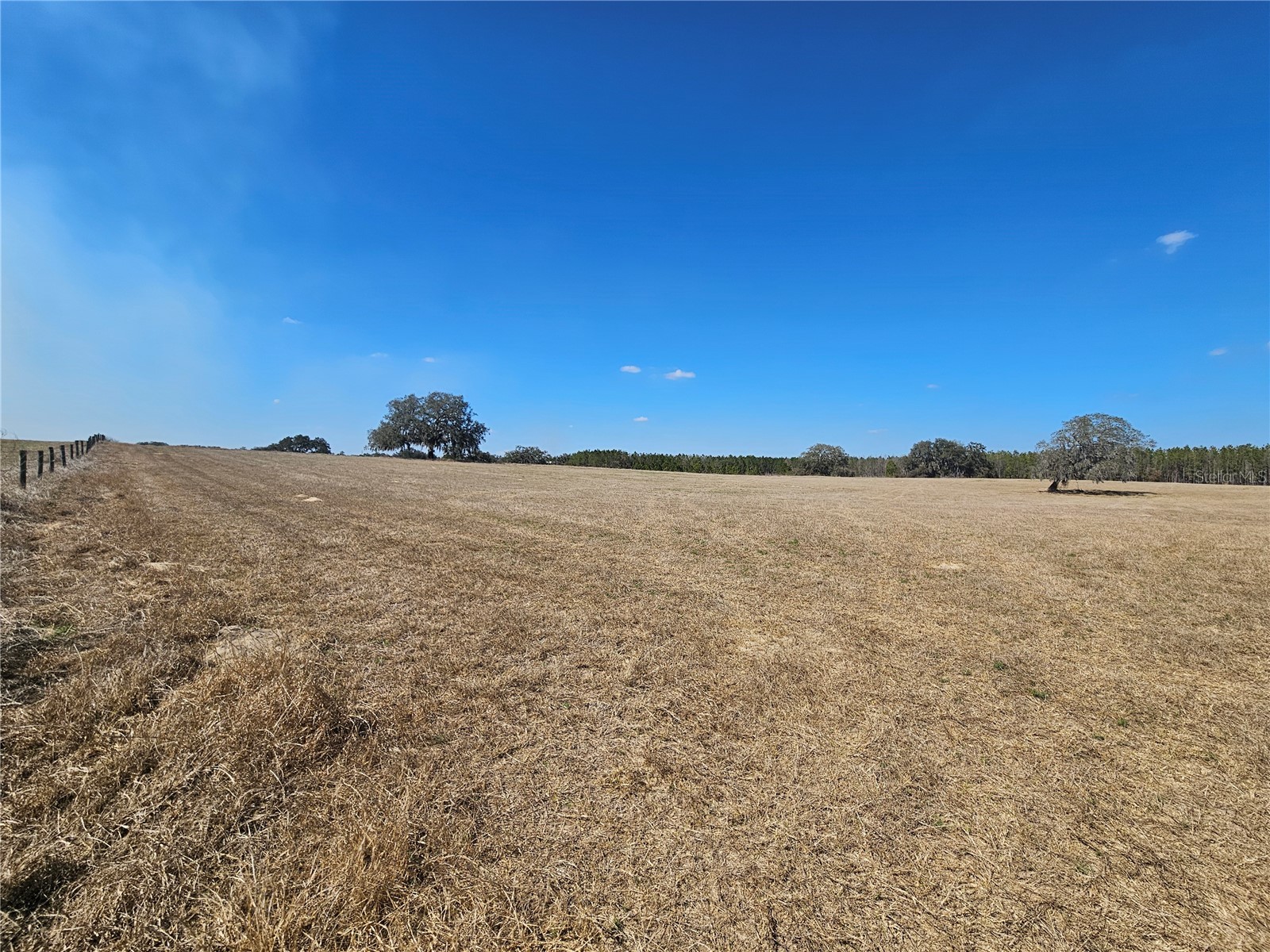 13308 Duck Lake Canal Road Dade City FL 33525 TB8475916 image55
