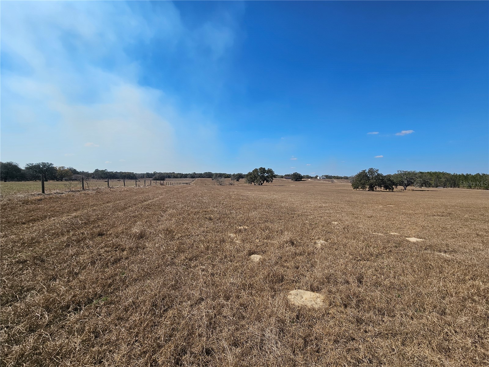 13308 Duck Lake Canal Road Dade City FL 33525 TB8475916 image56